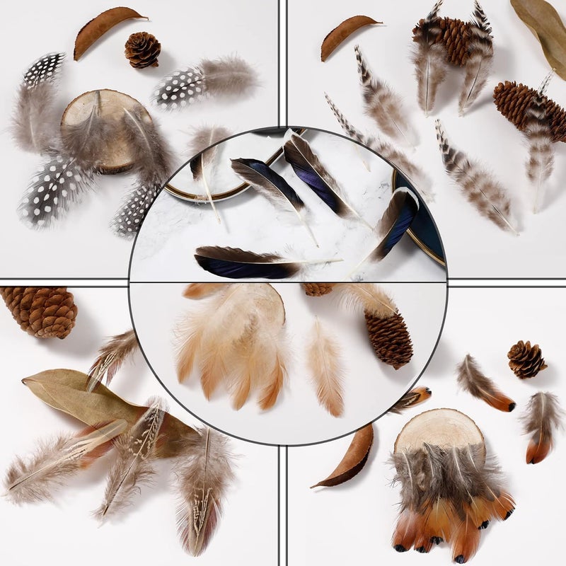 Larryhot Natural Pheasant Craft Feathers - 240 pcs 6 Style Mixed Feathers for Dream Catcher Supplies,Jewelry,Hats and Jewelry Accessories (Natural) - Image 5